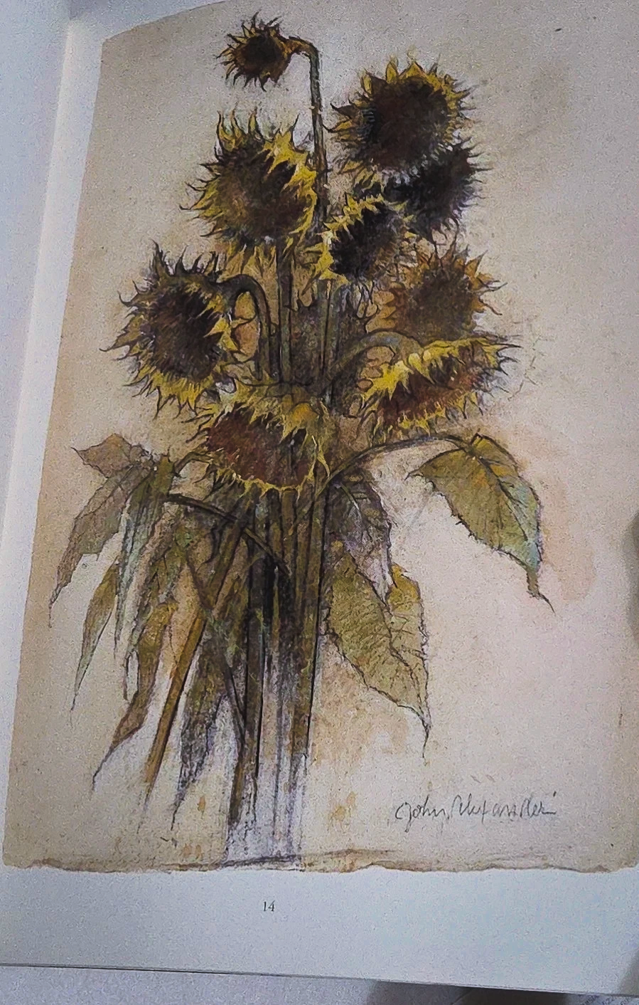 Book, John Alexander: Works on Paper 1st Edition, (2001, Paperback)