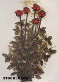 Red Roses, John Alexander, 2002