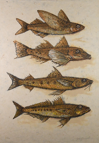 Strange Fish, John Alexander, 2002