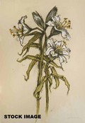 White Lilies, John Alexander, 2001