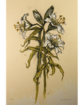 Alexander, John, White Lilies, 2001