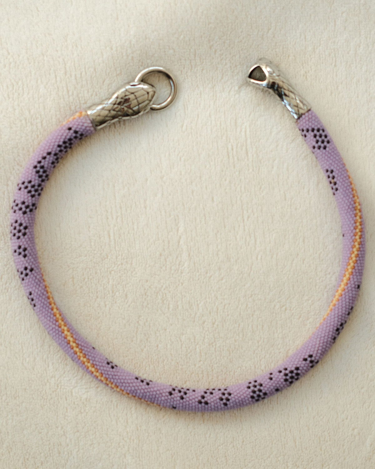Fischer, Janice A, Blind Snake