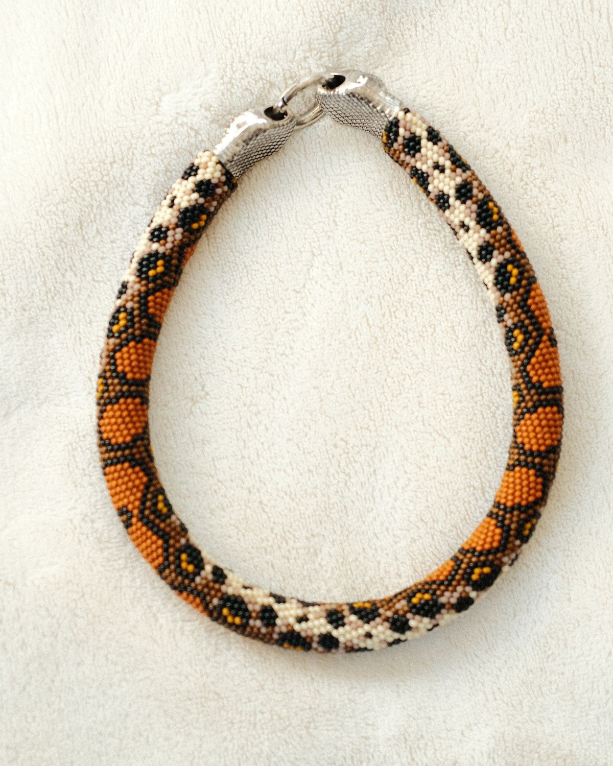 Fischer, Janice A, Brazilian Boa