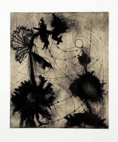 Davidoff, Suzi, Escobilla Study, 2010