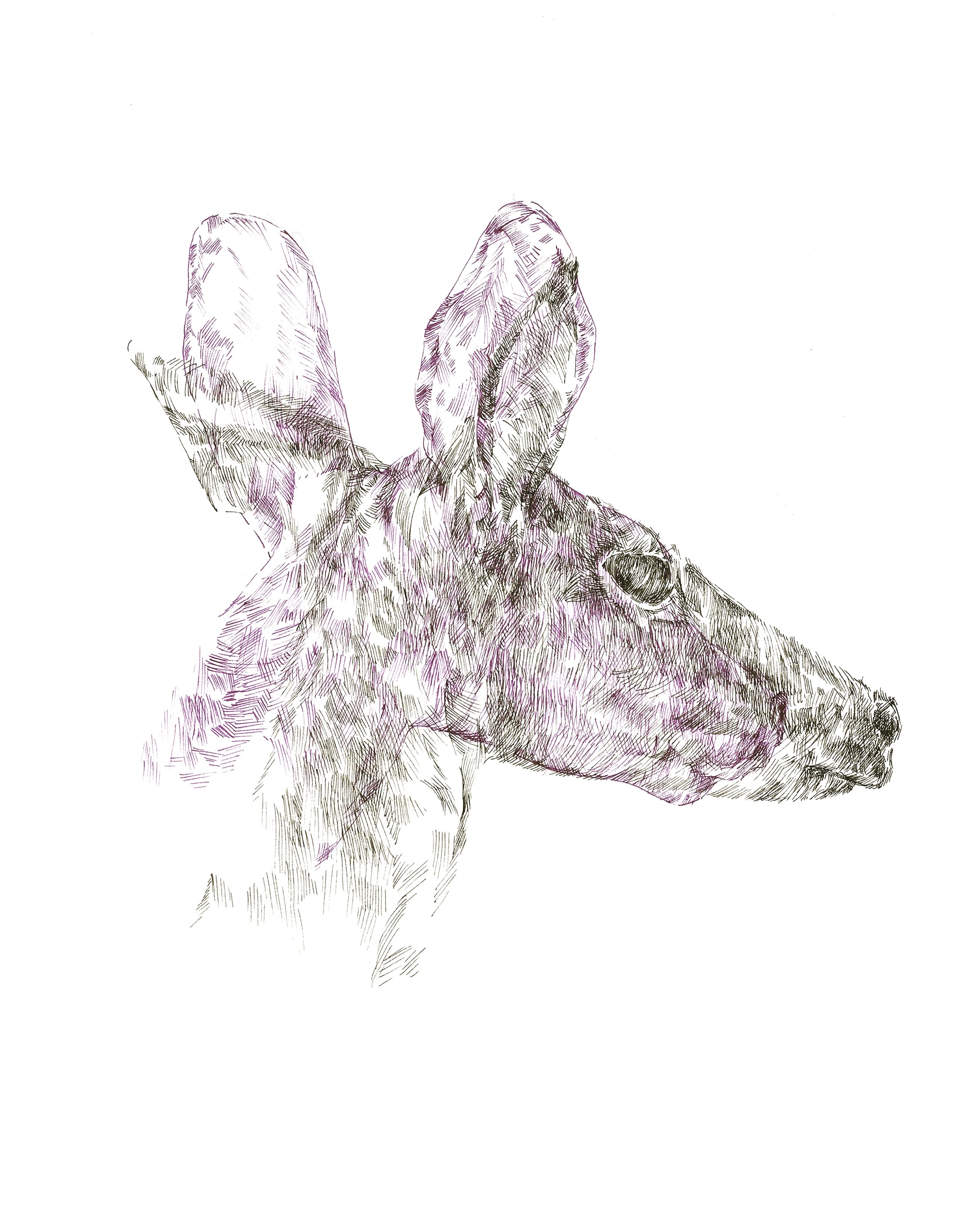 Sumrall-Orsak, Stephen, Deer Intertwined, 2026