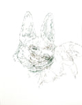 Sumrall-Orsak, Stephen, Dogs of the Same Eye, 2026