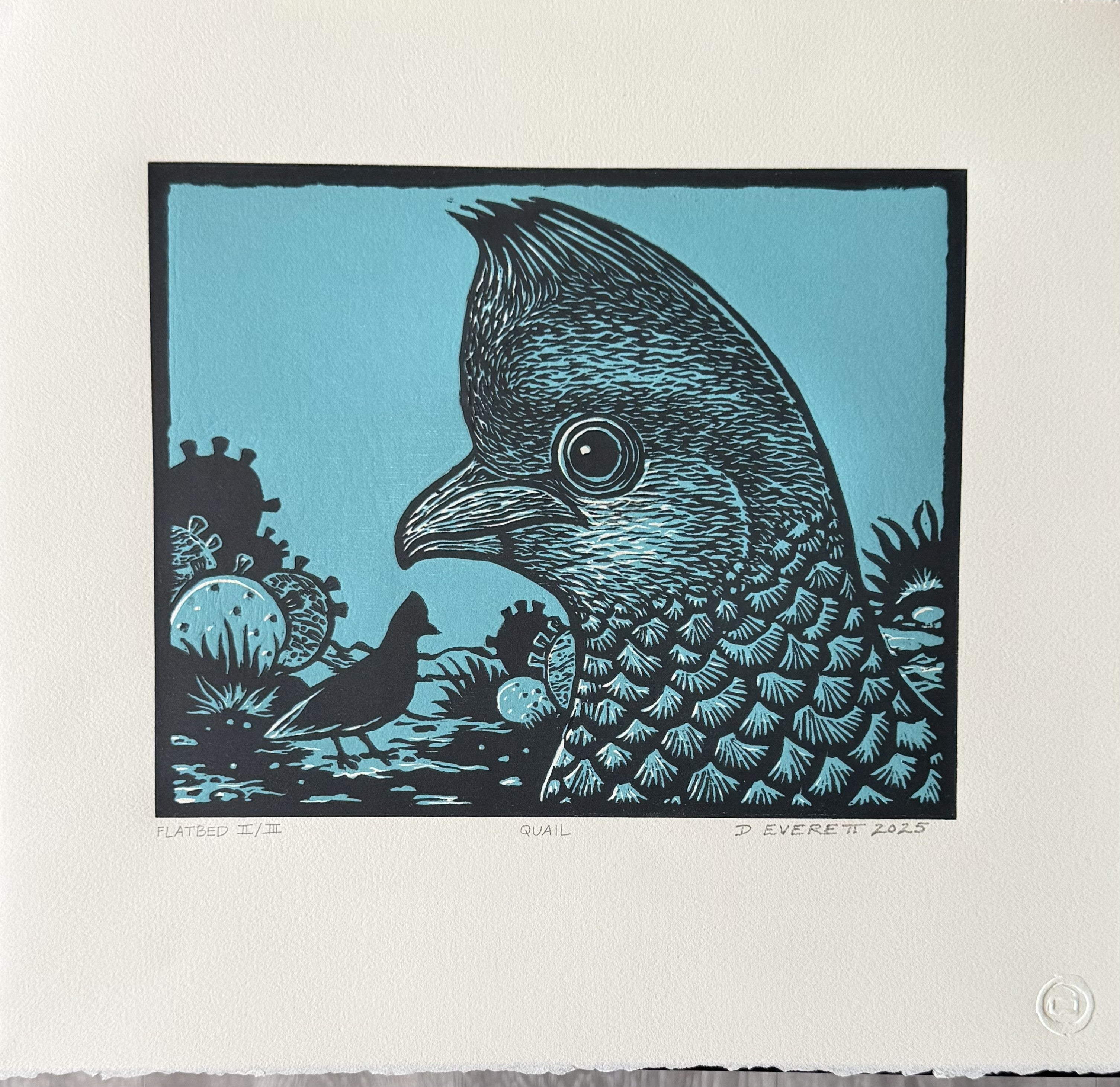 Everett, David, Quail, 2019