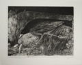 Dark Bird in Passage Searching, Kelly Fearing