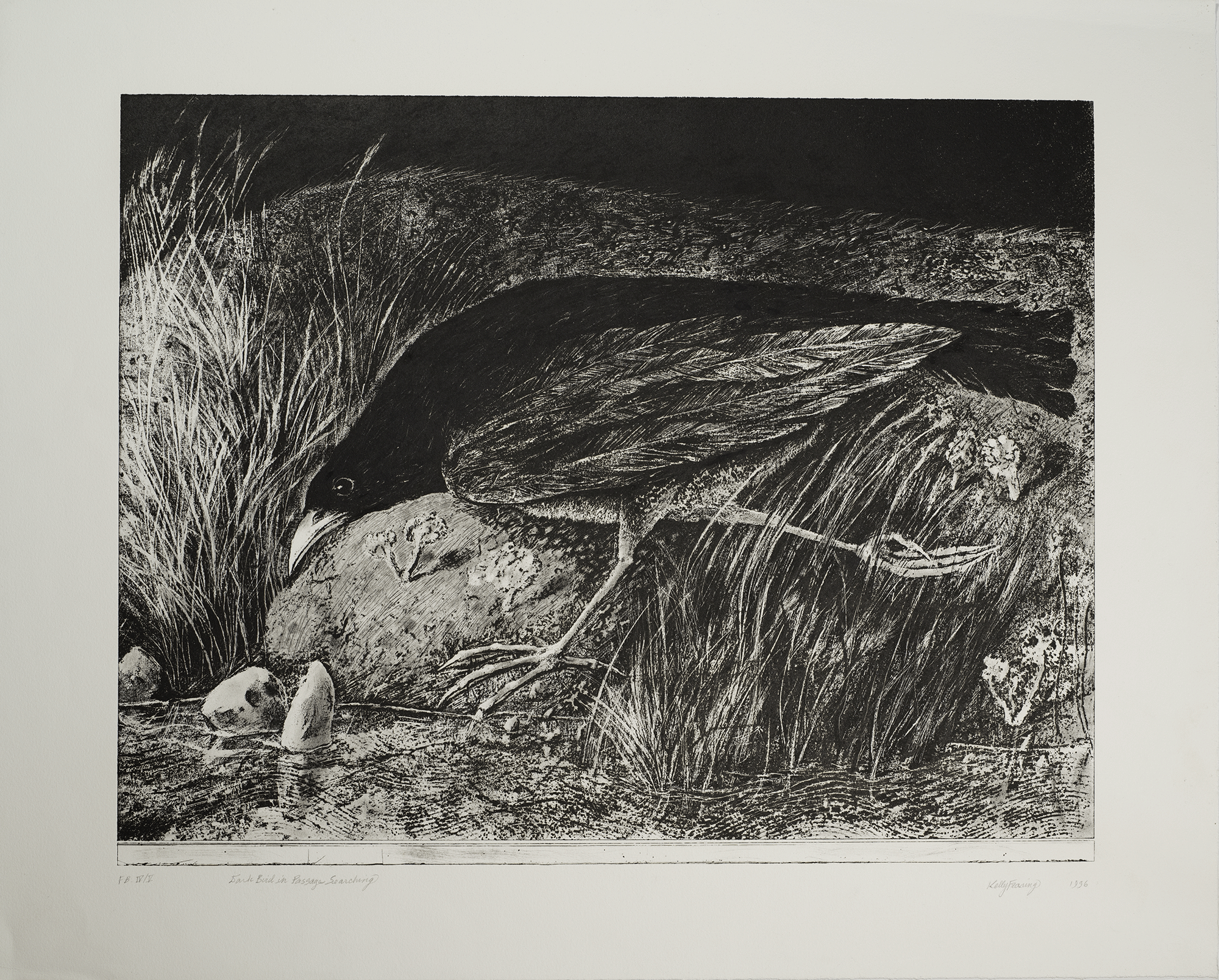 Dark Bird in Passage Searching, Kelly Fearing