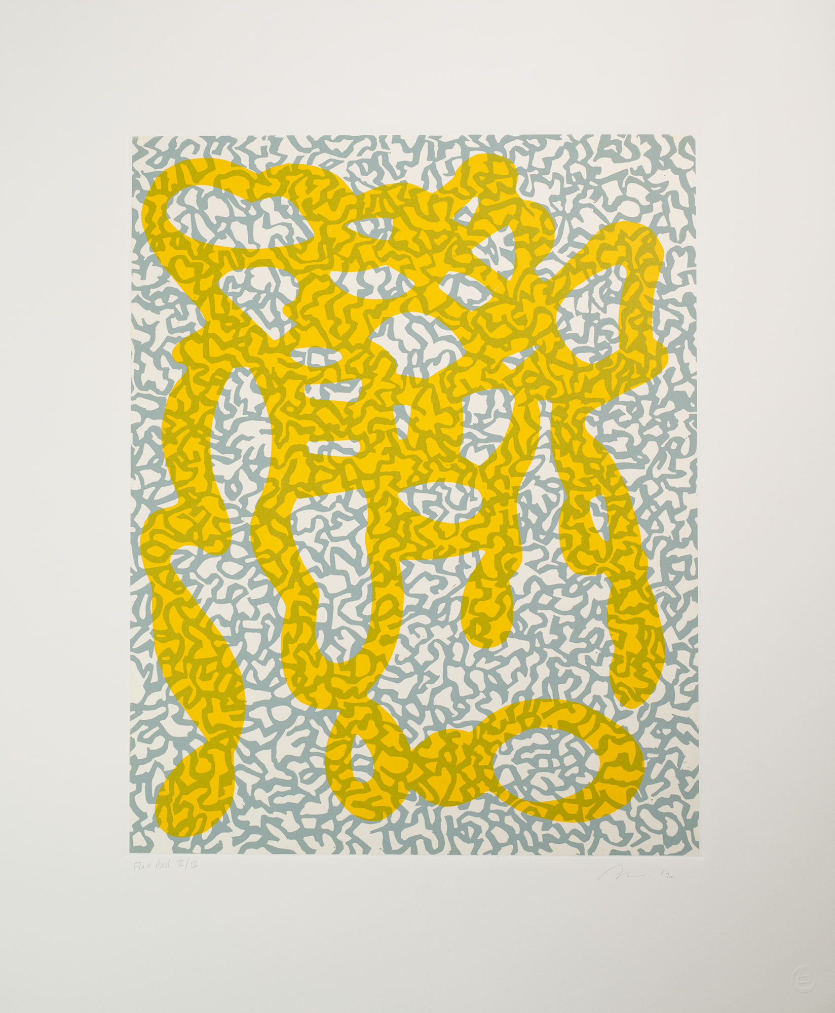 Natural Order: Firefly, Sue Heatley 2020