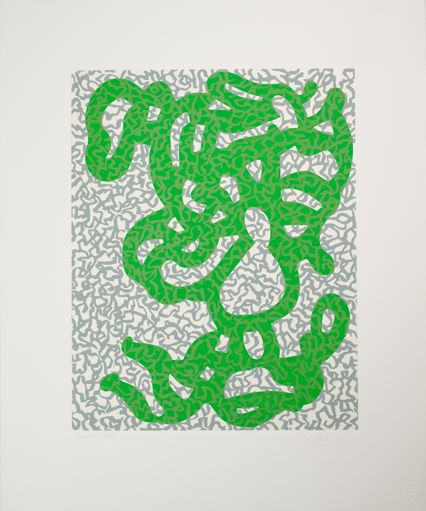 Natural Order: Moss, Sue Heatley 2020