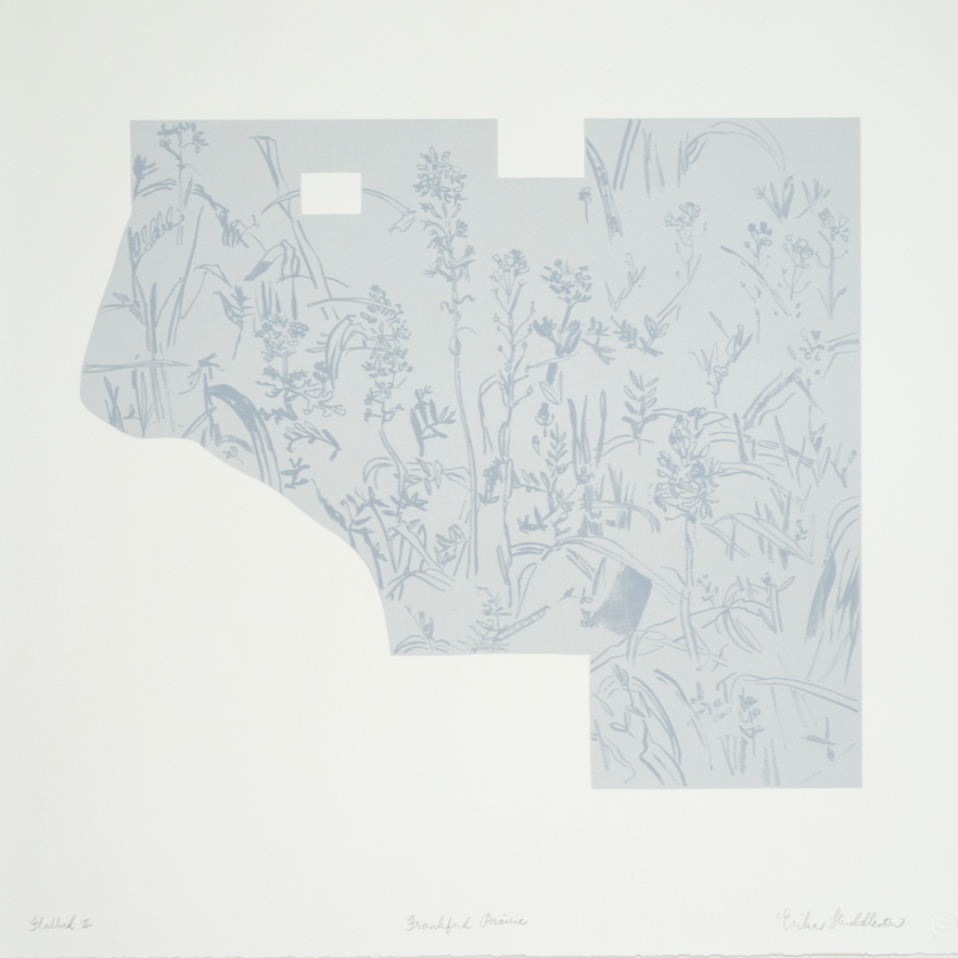Huddleston, Erika, Frankford Prairie, 2023