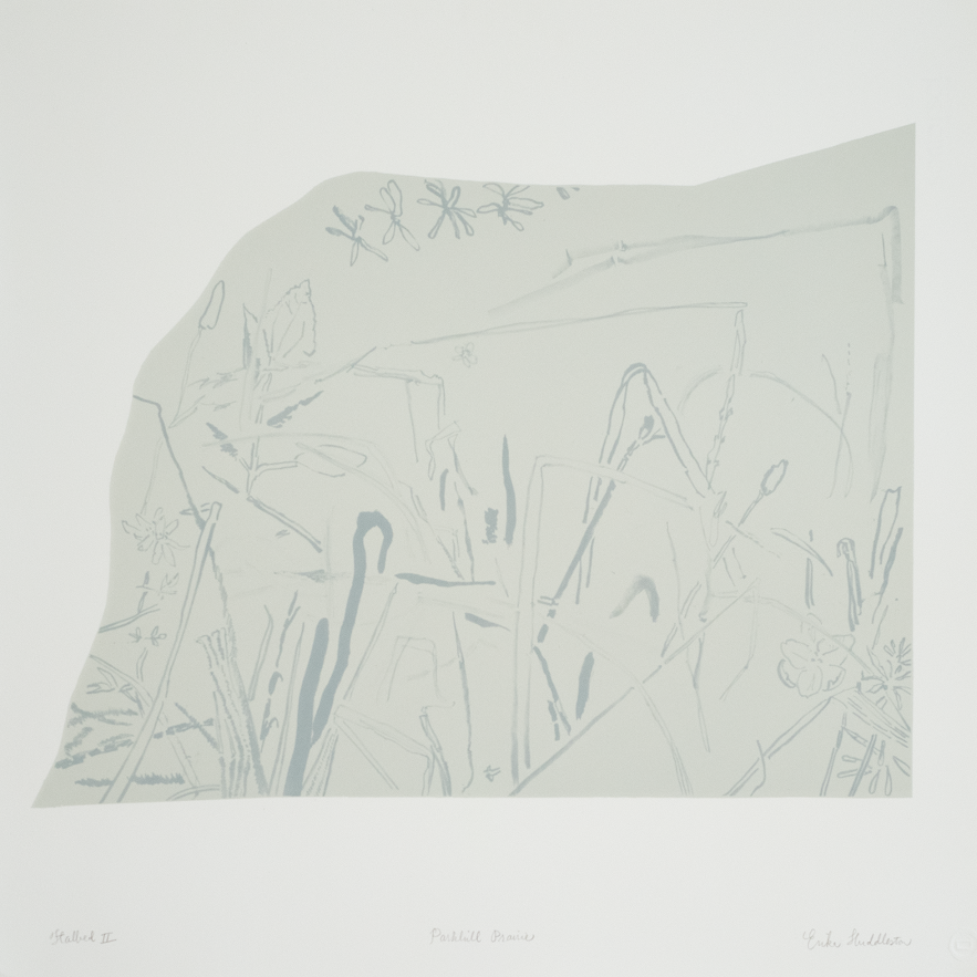Huddleston, Erika, Parallel Prairie, 2023