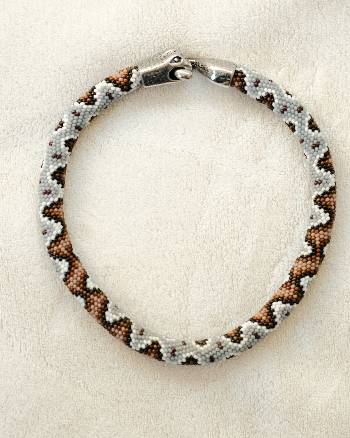 Fischer, Janice A, Long-nosed Viper
