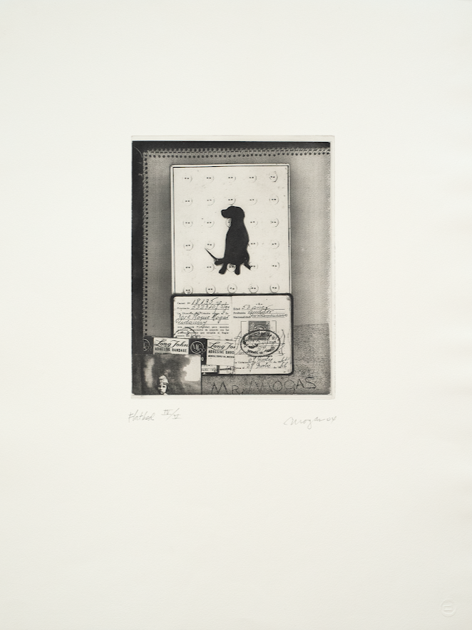 Mogus, Richard, Dog and Passport, 2004