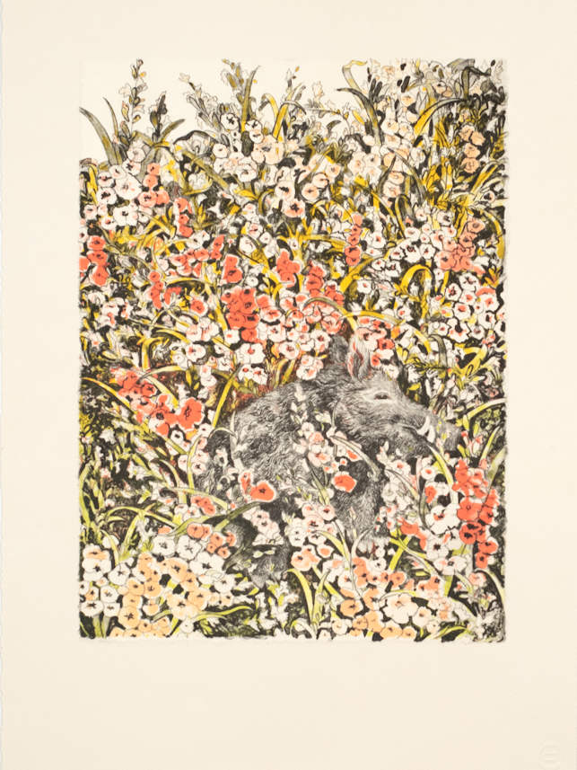 Perrone, Serena, In the Field, 2024