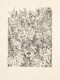 Perrone, Serena, In the Field II (BW), 2023