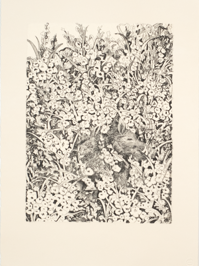 Perrone, Serena, In the Field II (BW), 2023