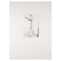 Rosenberg, Andrea, Untitled (Litho 1, Sky Bronze), 2002