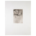 Rosenberg, Andrea, Untitled, 2002