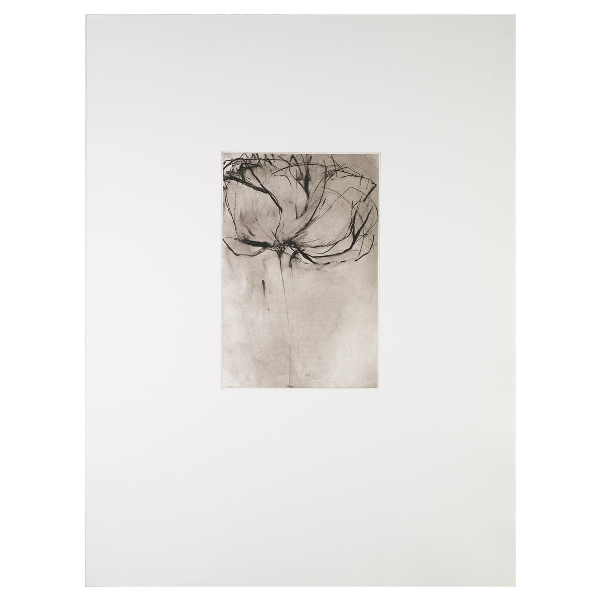 Rosenberg, Andrea, Untitled, 2002
