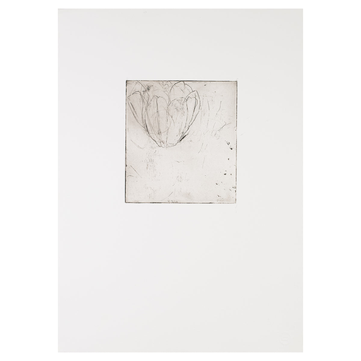 Rosenberg, Andrea, Untitled 6 (White Ground), 2002