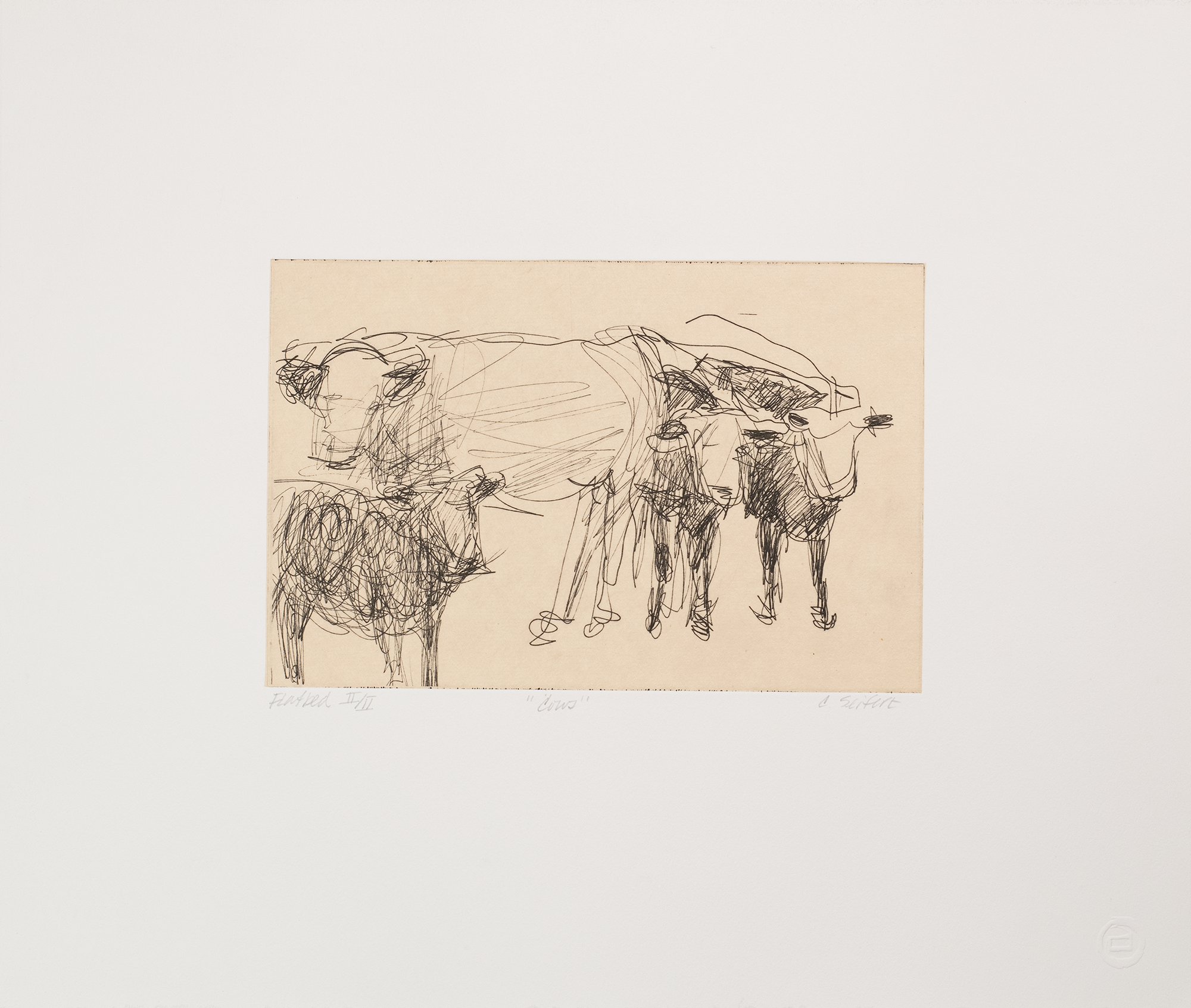 Cows, Charlotte Seifert