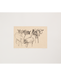 Seifert, Charlotte, Cows II