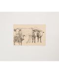 Seifert, Charlotte, Cows