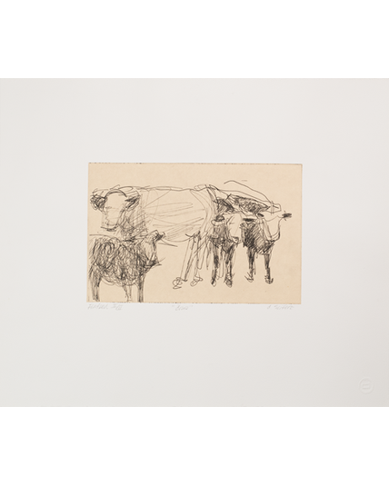 Seifert, Charlotte, Cows