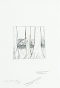 Smith, Darden, Cypress Trees, Utopia, TX, 2018