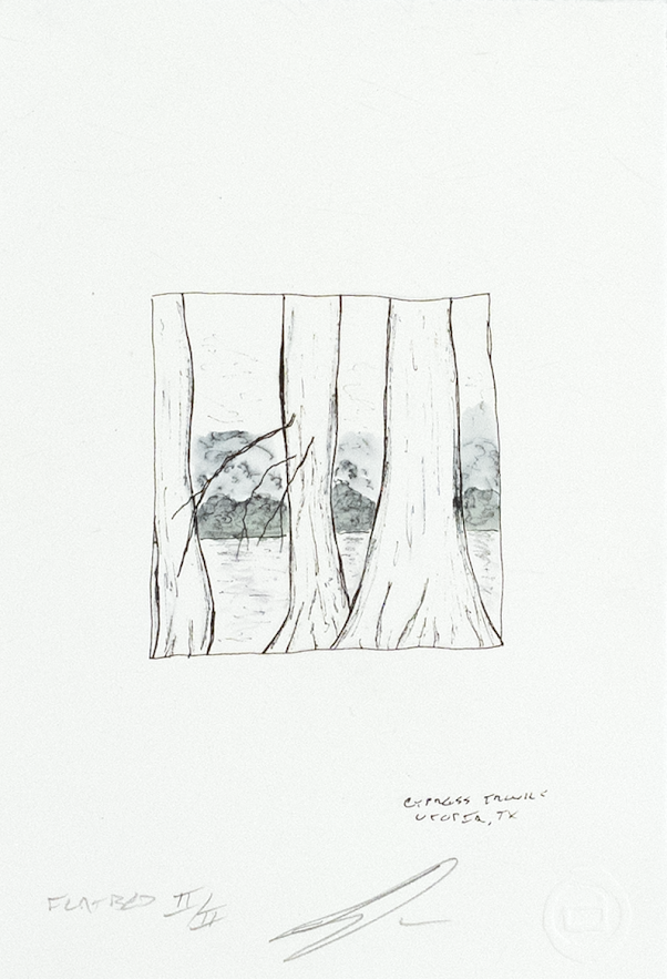 Smith, Darden, Cypress Trees, Utopia, TX, 2018