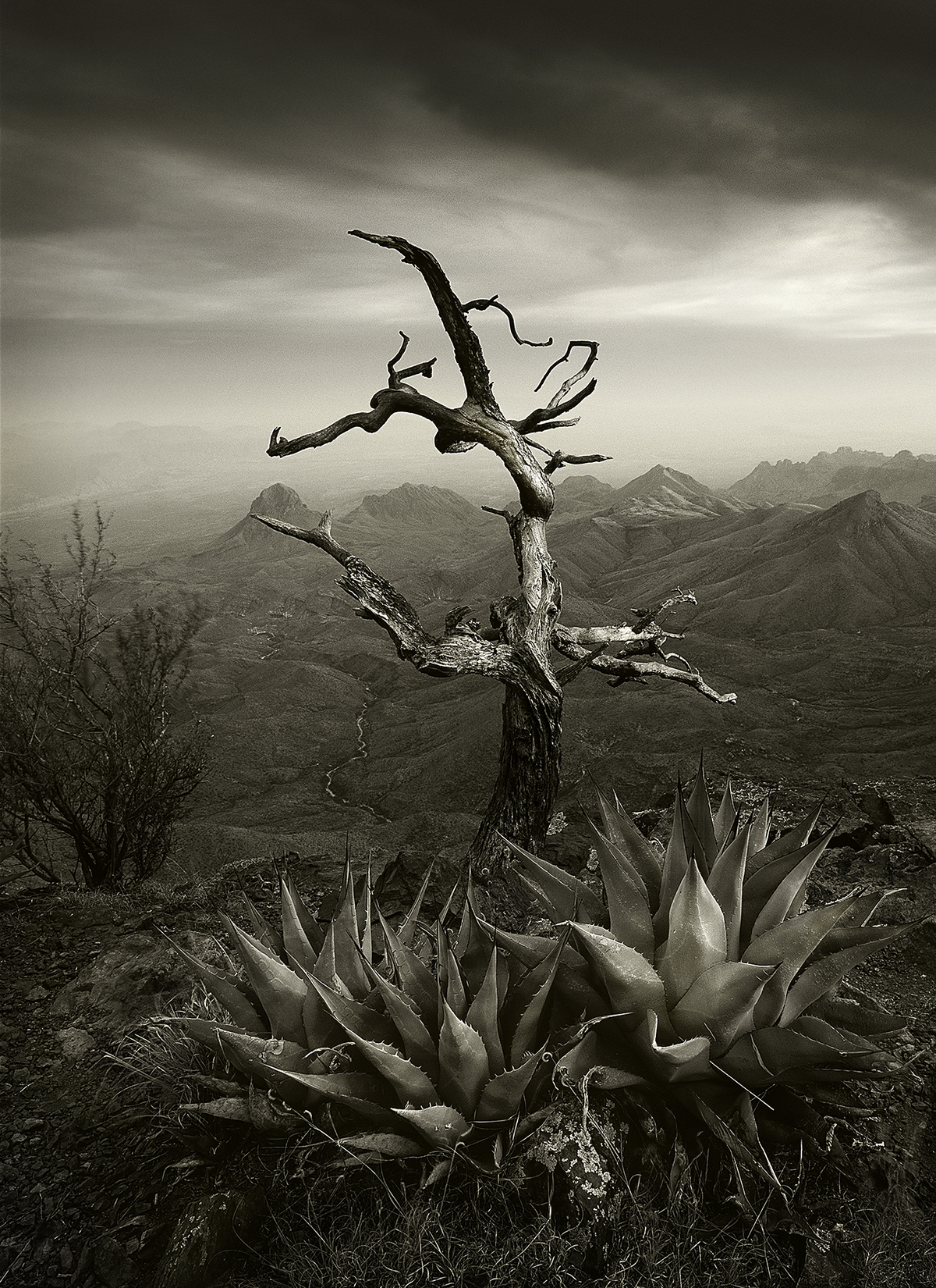 Yates, Rusty, South Rim, Benefitting No Big Bend Border Wall Coalition