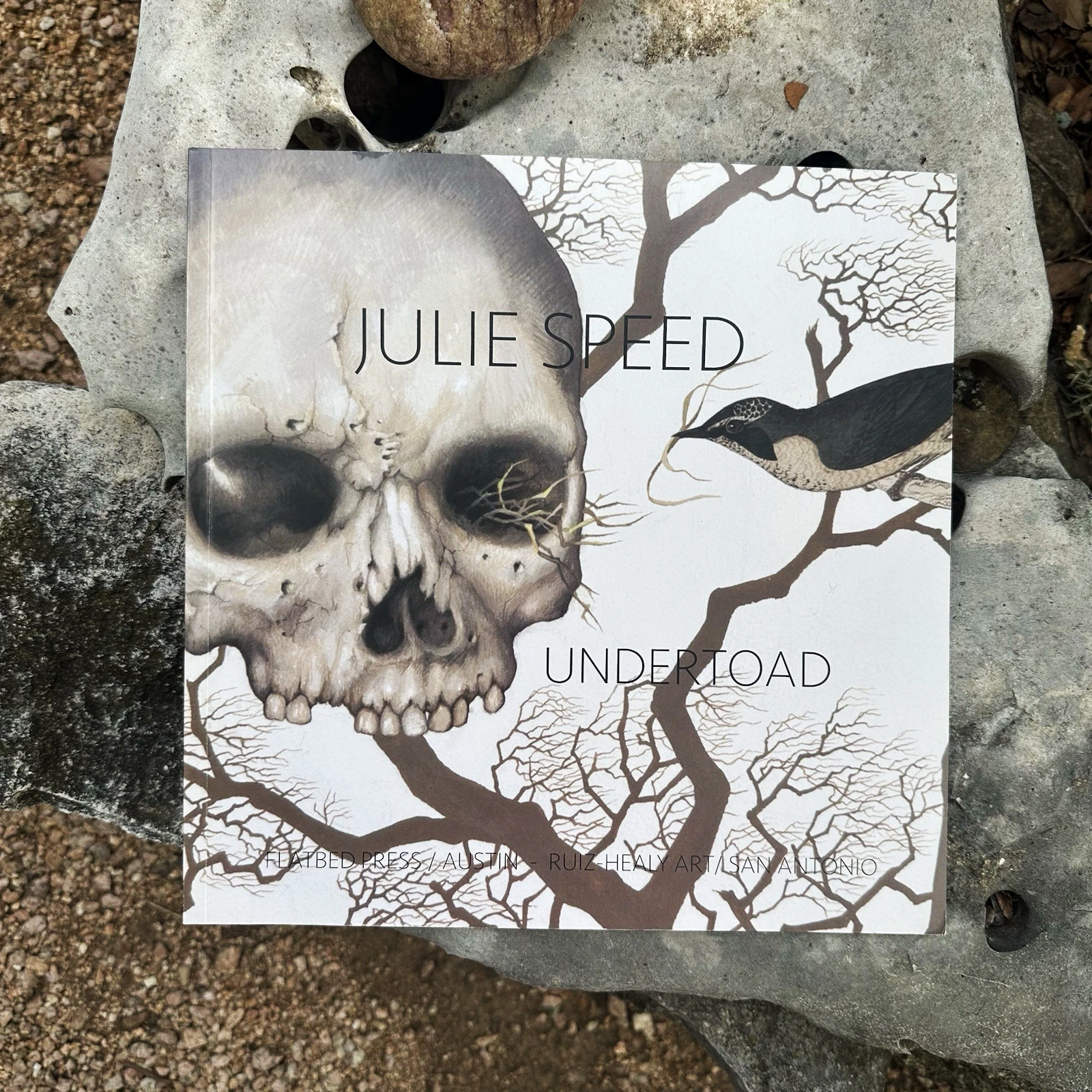 Book, Julie Speed - Undertoad by Lyle W. Williams (2015, Paperback)