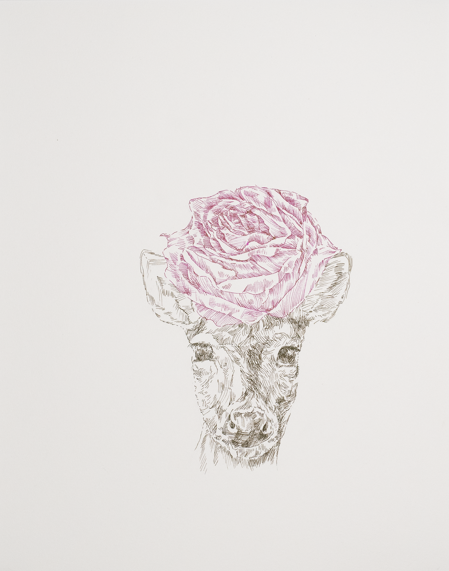 Sumrall-Orsak, Stephen, Deer with Rose, 2026