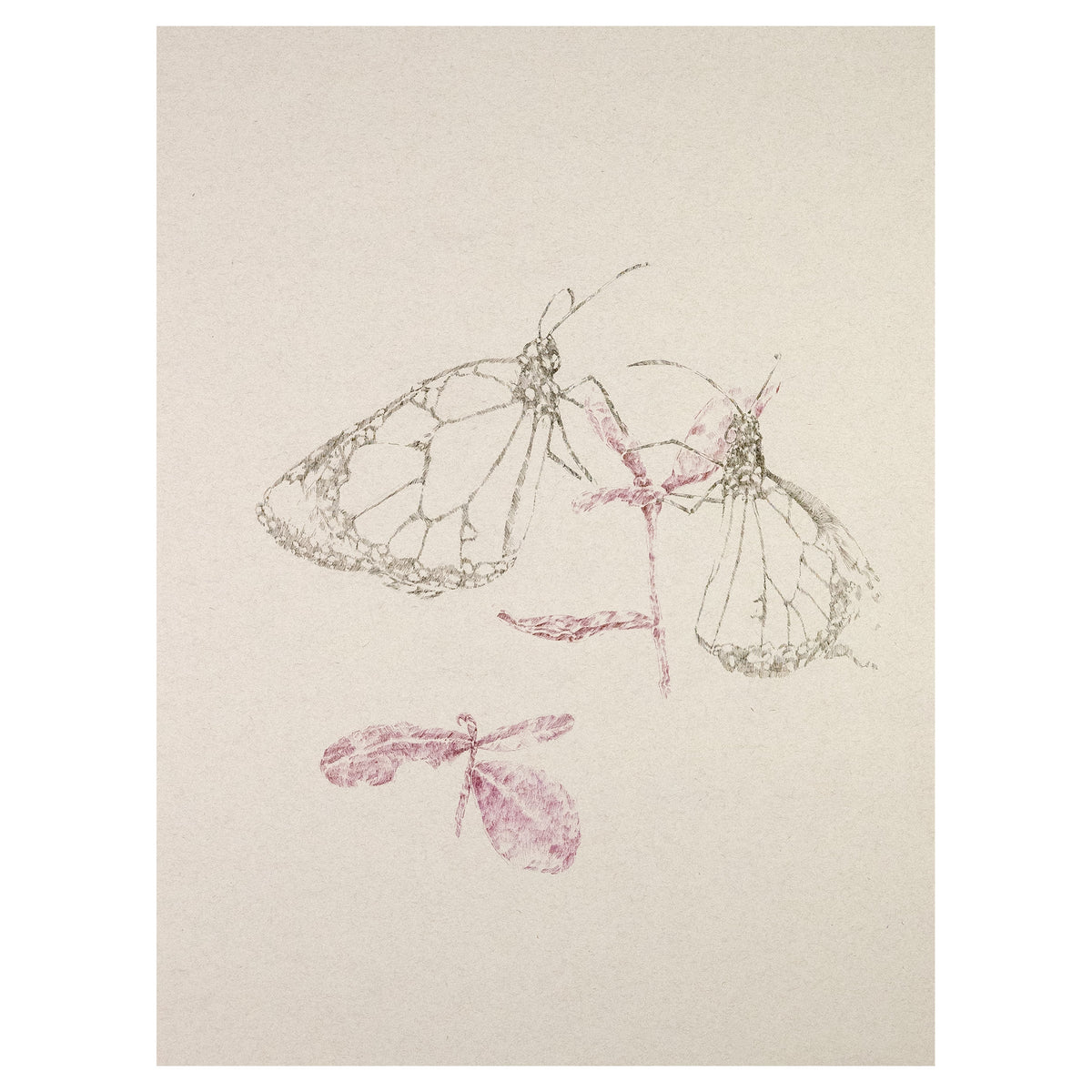 Sumrall-Orsak, Stephen, Resting Monarchs, 2026