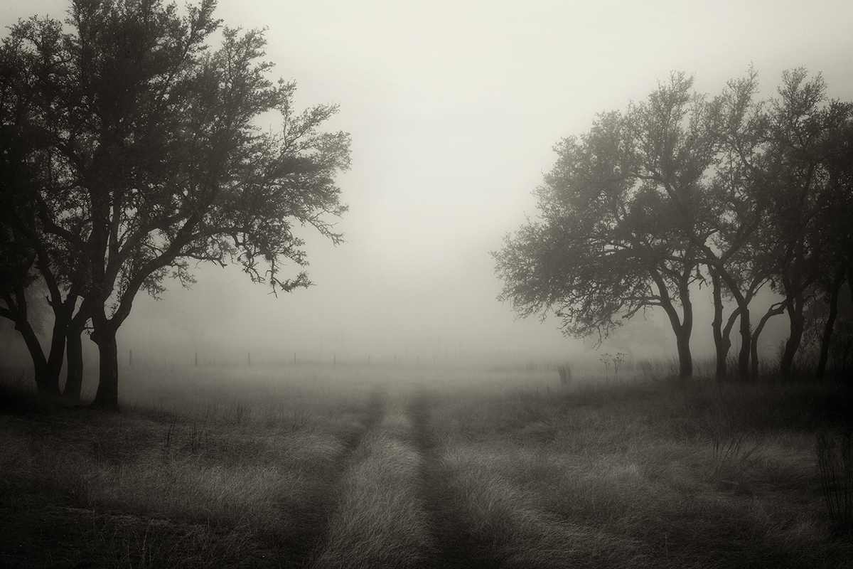 Yates, Rusty, The Light Beyond