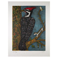 Tolbert, Frank, Pileated Woodpecker, 2015