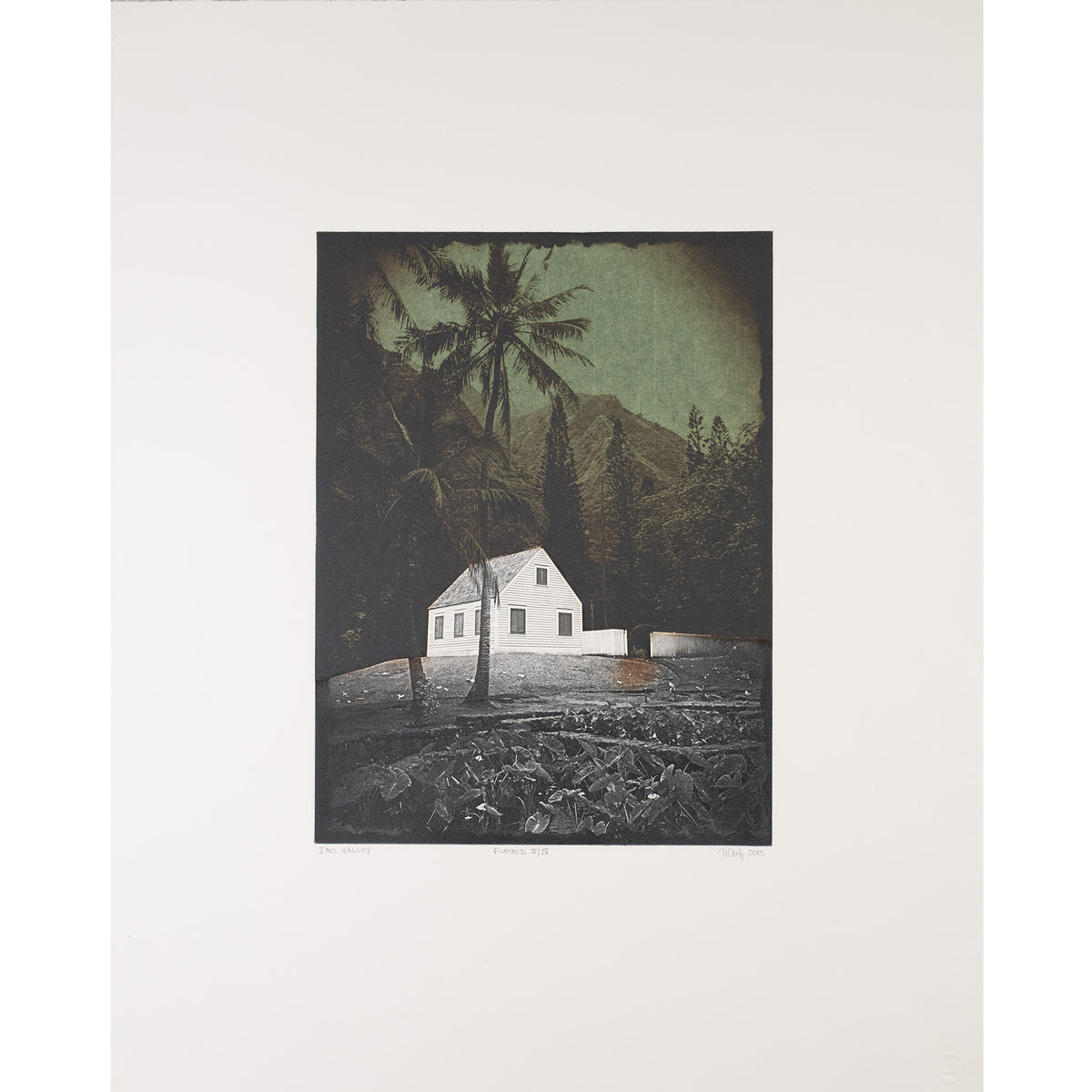 Weitz, Tina, Iao Valley, 2015