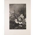 Williams, Casey, Texas Landscape I, 1995