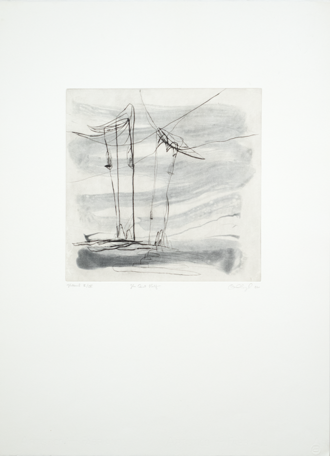 Wright, Caroline, The Quiet Half, 2012
