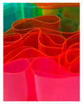 Truex, Suzanne, Neon Curl, 2025