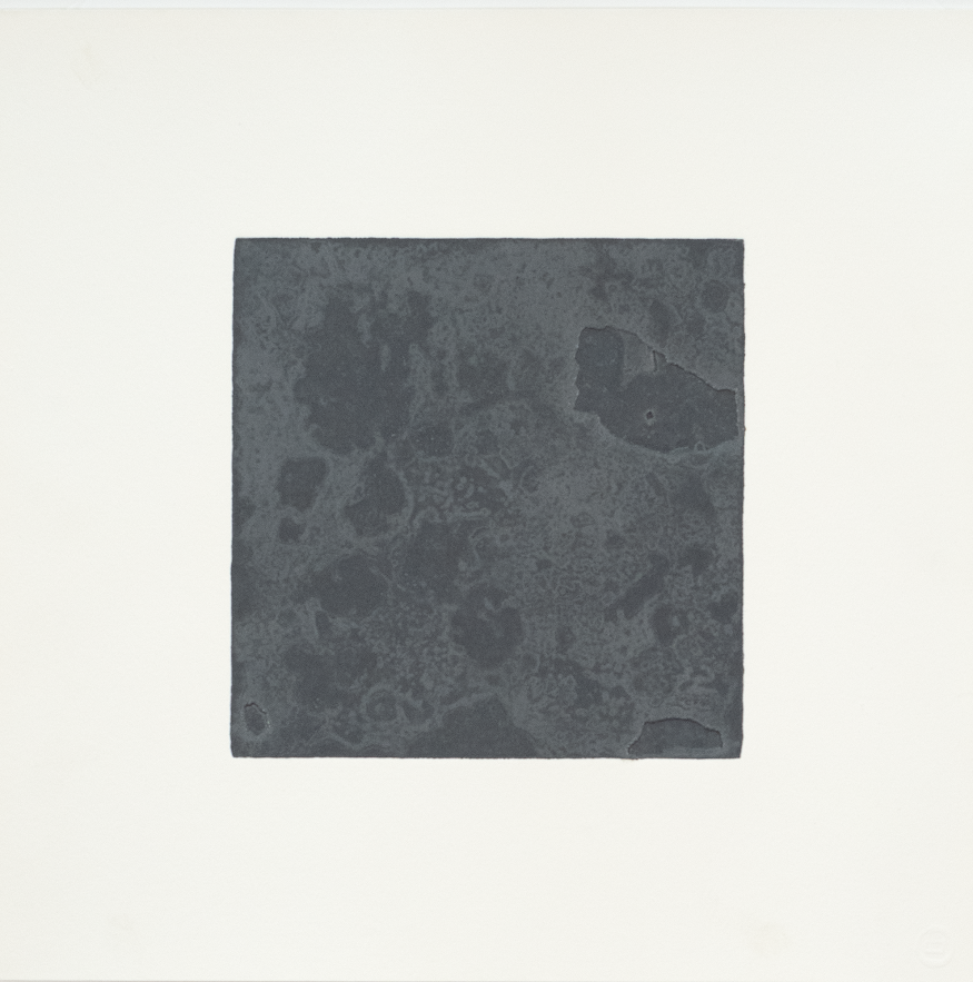 Craft, John Robert, Degradation Study 1 A, 2015