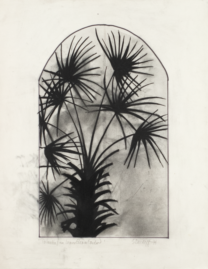 Davidoff, Suzi, Palmetto from Laguna Gloria Garden, 1994