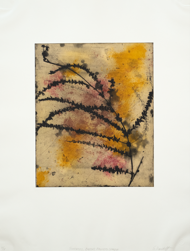 Davidoff, Suzi,Sumpweed, Earth's Magneto Sphere, 2005