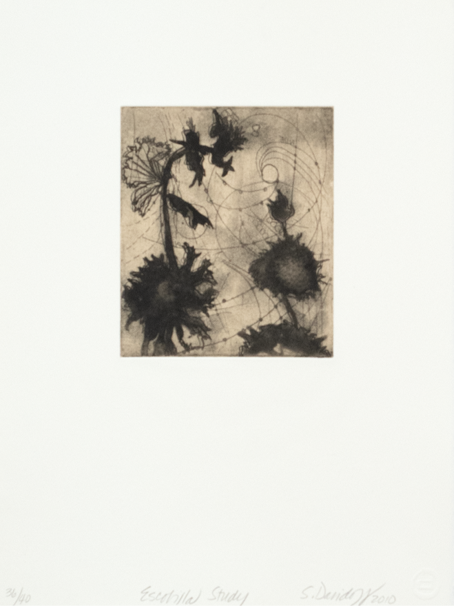 Davidoff, Suzi, Escobilla Study, 2010