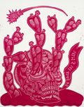 Armendariz, Richard, Pansy Pink, 2018