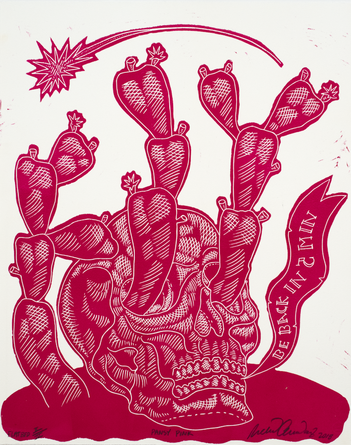 Armendariz, Richard, Pansy Pink, 2018